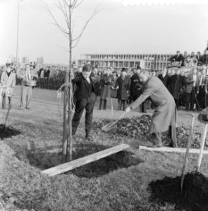 Planten van vrijheidsboom door studenten te Delft, Bestanddeelnr 911-6741