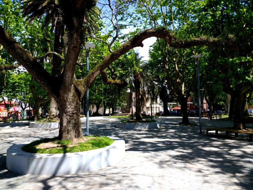 Plaza Independencia de Rocha 3