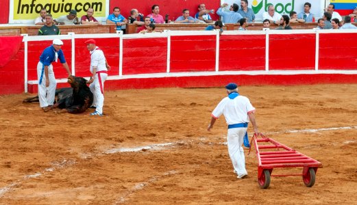 Plaza de Toros Monumental de Maracaibo, Corrida 01