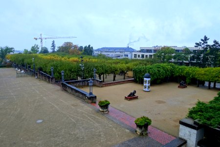 Platanenhain - Mathildenhöhe - Darmstadt, Germany - DSC01443