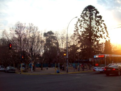 Plaza Muñiz 4