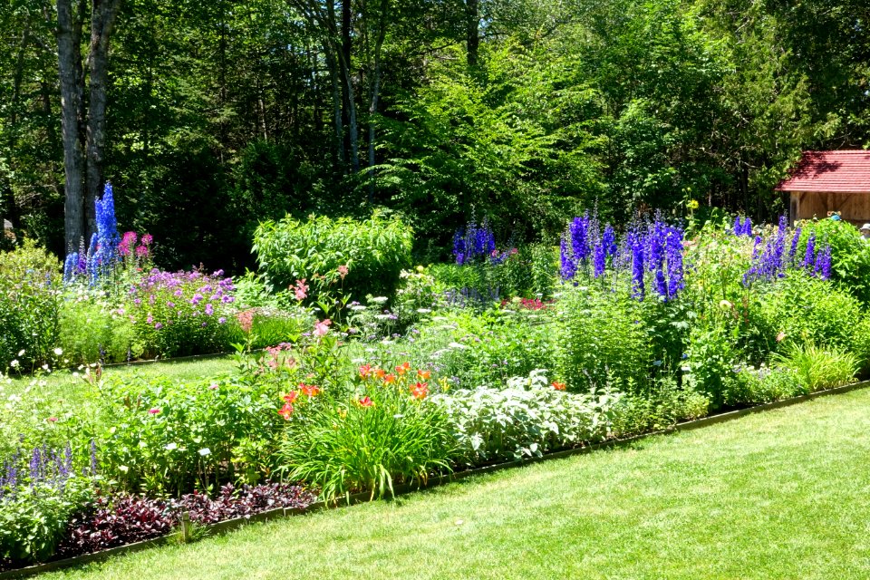Planting - Thuya Garden - Northeast Harbor, Maine - DSC03739