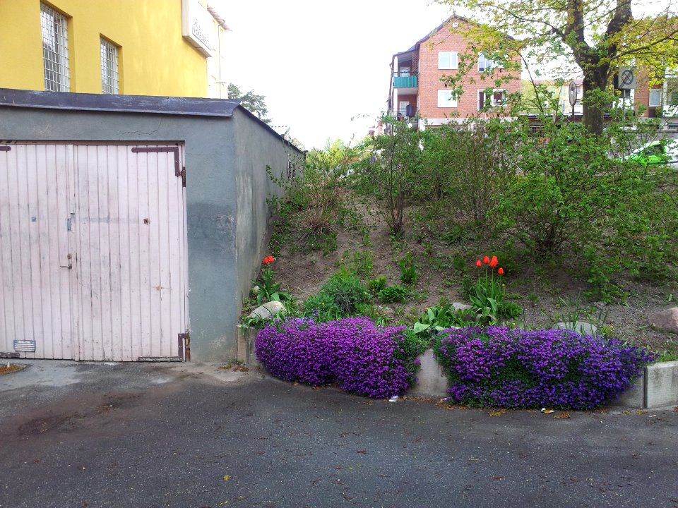 Plantering Årstavägen 2014