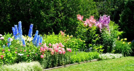 Planting - Thuya Garden - Northeast Harbor, Maine - DSC03703