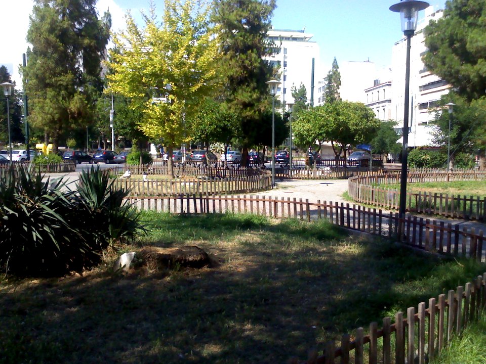 Plateia terpsitheas