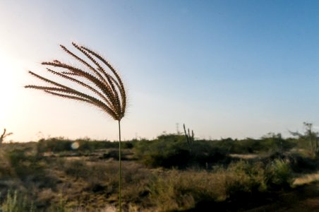 Planta por definir en Margarita Isla 2