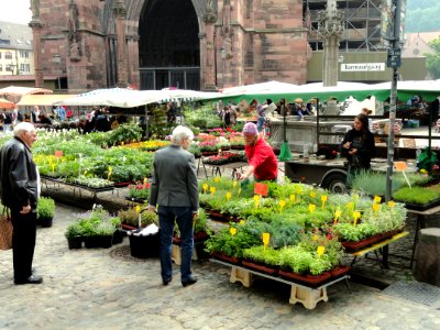 Plant market in Münsterplatz (Freiburg) - DSC06561