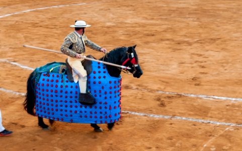 Plaza de Toros de Maracaibo-1-3