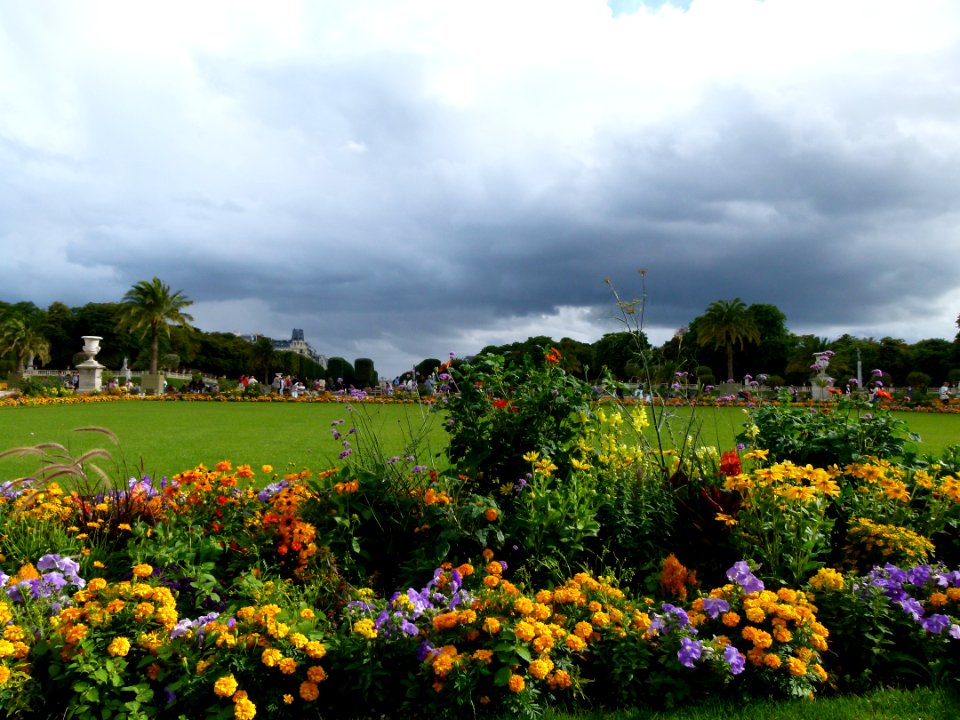 Plate-bande de fleurs