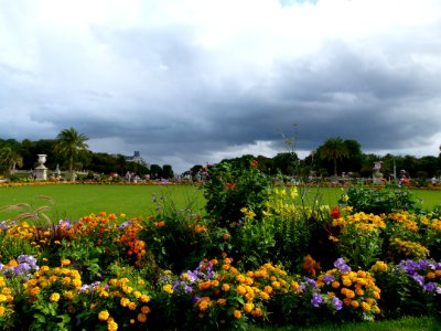 Plate-bande de fleurs