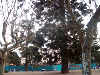 Plaza Muñiz