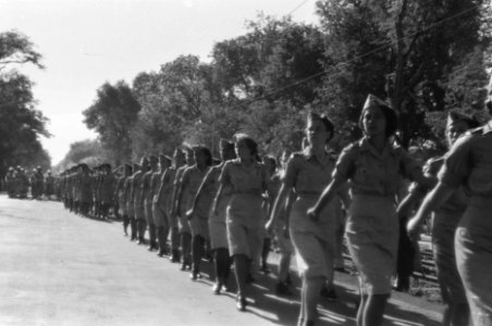 Plechtigheid Batavia. Defile. Vrouwen Hulpkorps, Bestanddeelnr 349-6-3