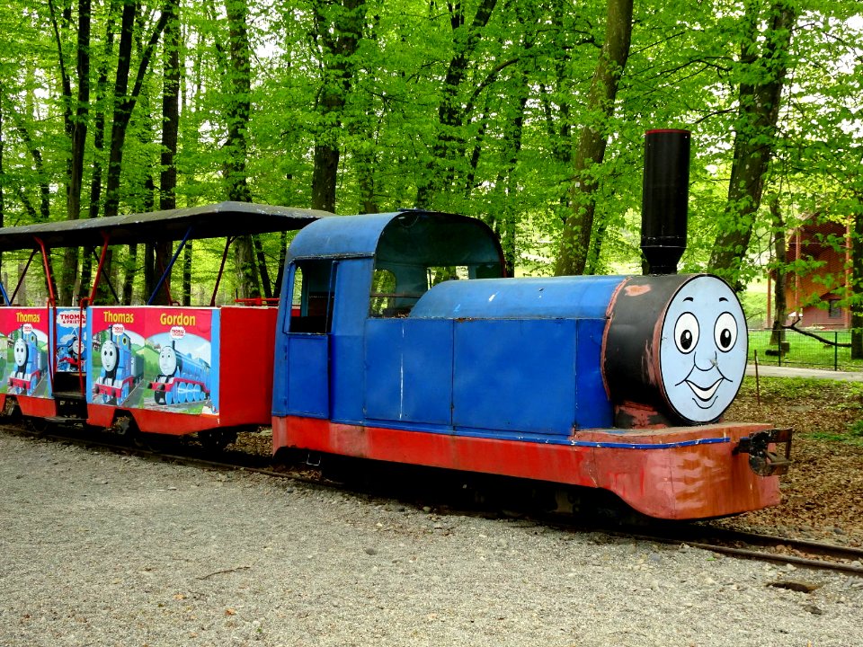 Platoul Cornesti Children's Railway train