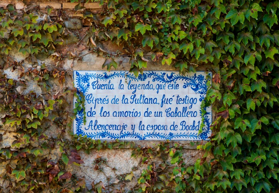 Plaque Cyprès Sultane Generalife Granada Spain