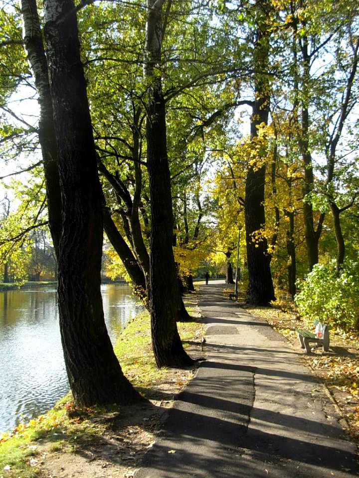 Planty nad KB - ścieżka a