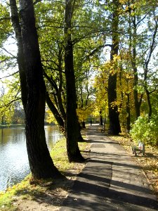 Planty nad KB - ścieżka a