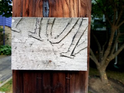 Plaque - Utility pole - Arlington, MA - 20200812 071315