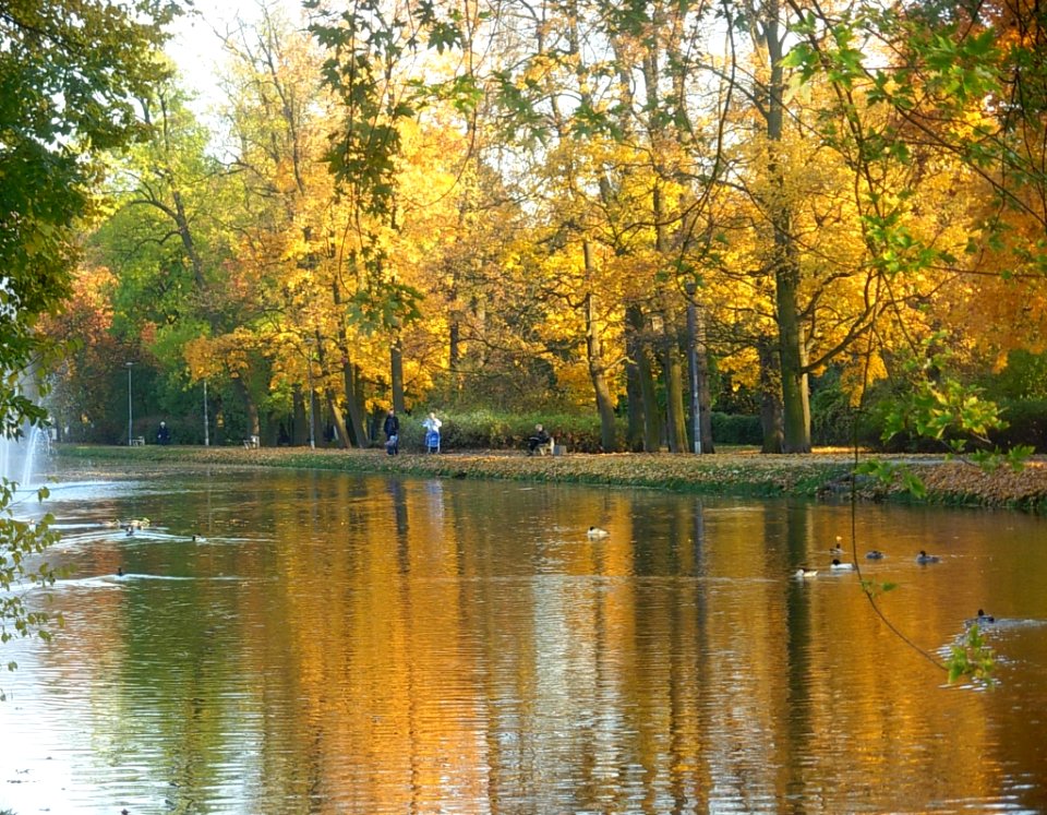 Planty nad KB jesień 2012i