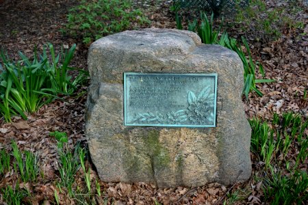 Plaque for Max and Louise Braam Memorial Sectin of Azaleas - Mount Airy Arboretum - DSC03849
