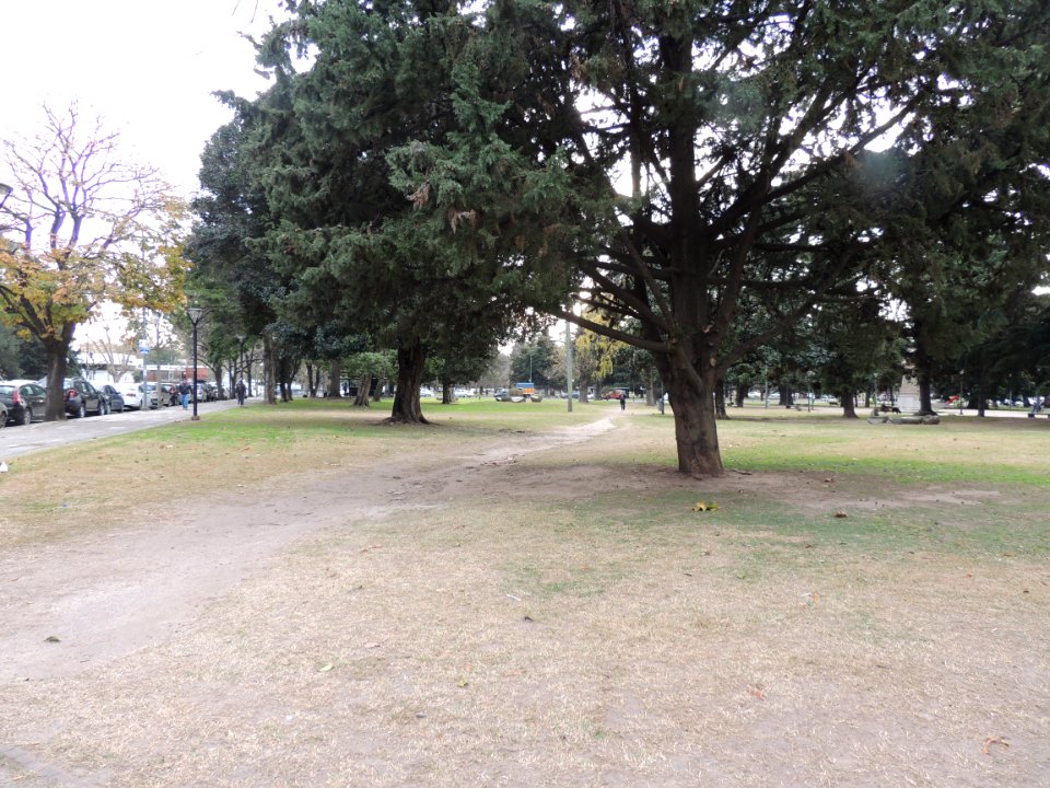 Plaza Rivadavia julio 2k17 01