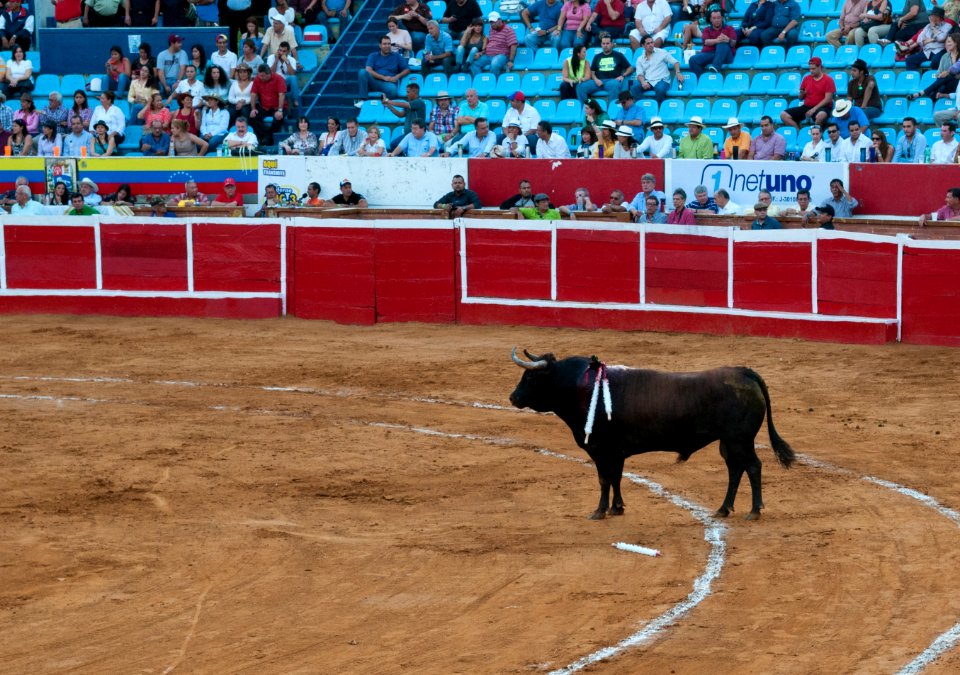Plaza de Toros de Maracaibo-1-4
