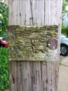 Plaque - Utility pole - Arlington, MA - 20200706 103735
