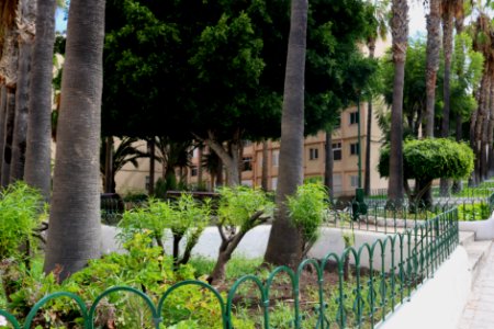 Plaza Manuel Diaz Catalina - Puerto de la Cruz - 01