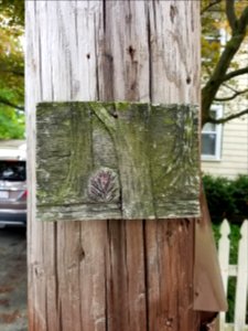 Plaque - Utility pole - Arlington, MA - 20200706 103458
