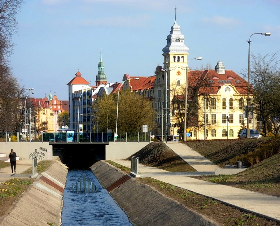 Planty nad KB zrewit 2012b