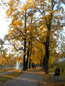 Planty nad KB jesień 2012e