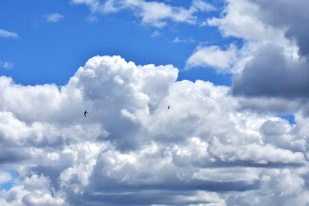 Nature covered sky blue photo