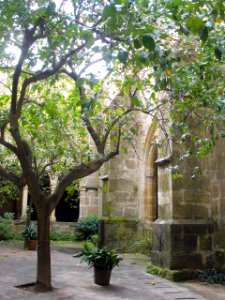 Plasencia - Catedral Vieja, claustro 16