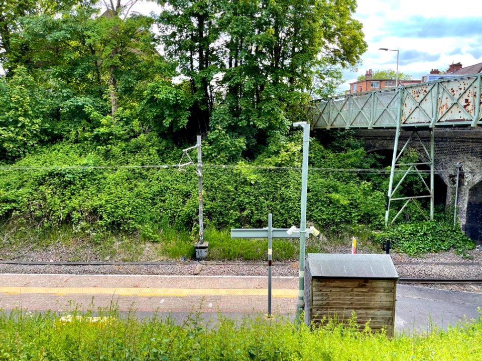 Platform from ramp Emerson Park, 2021