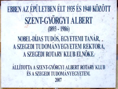 Plaque to Albert Szent-Györgyi on his house, Szeged