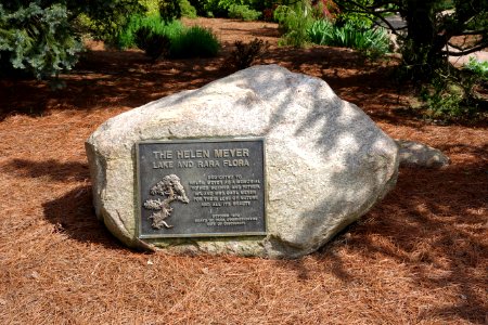 Plaque for Helen Meyer Lake and Rara Flora - Mount Airy Arboretum - DSC03784