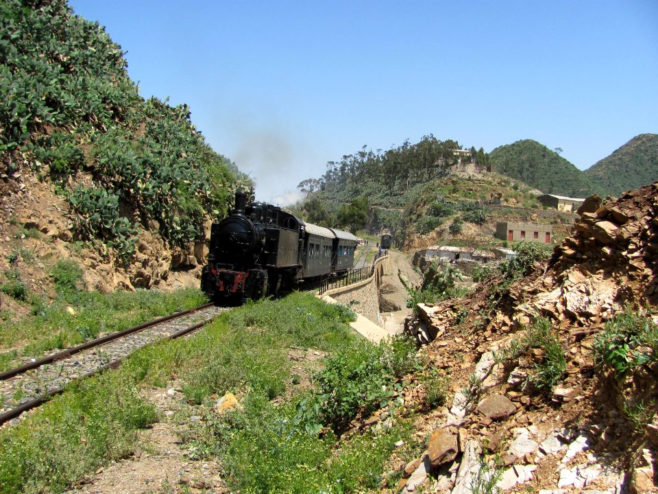 Planzug Arbaroba