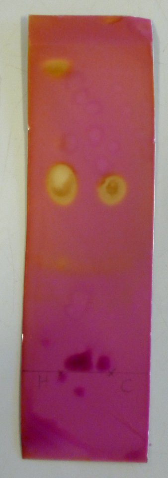 Plaqué révélée 2