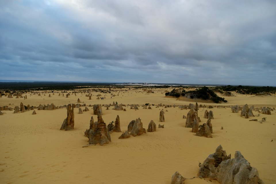Pinnacles Desert, Nambung National Park, Western Australia 17