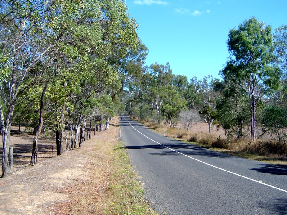 Pine Mountain Road Wanora