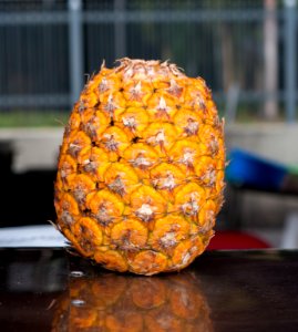 Pineapple fruit 2