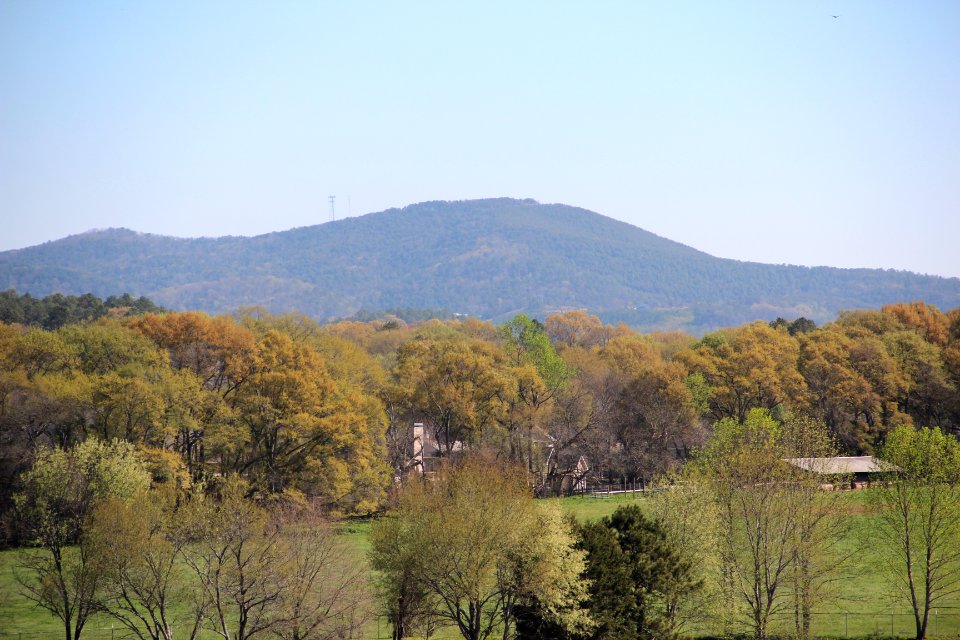 Pine Mountain seen from Mound A, April 2017