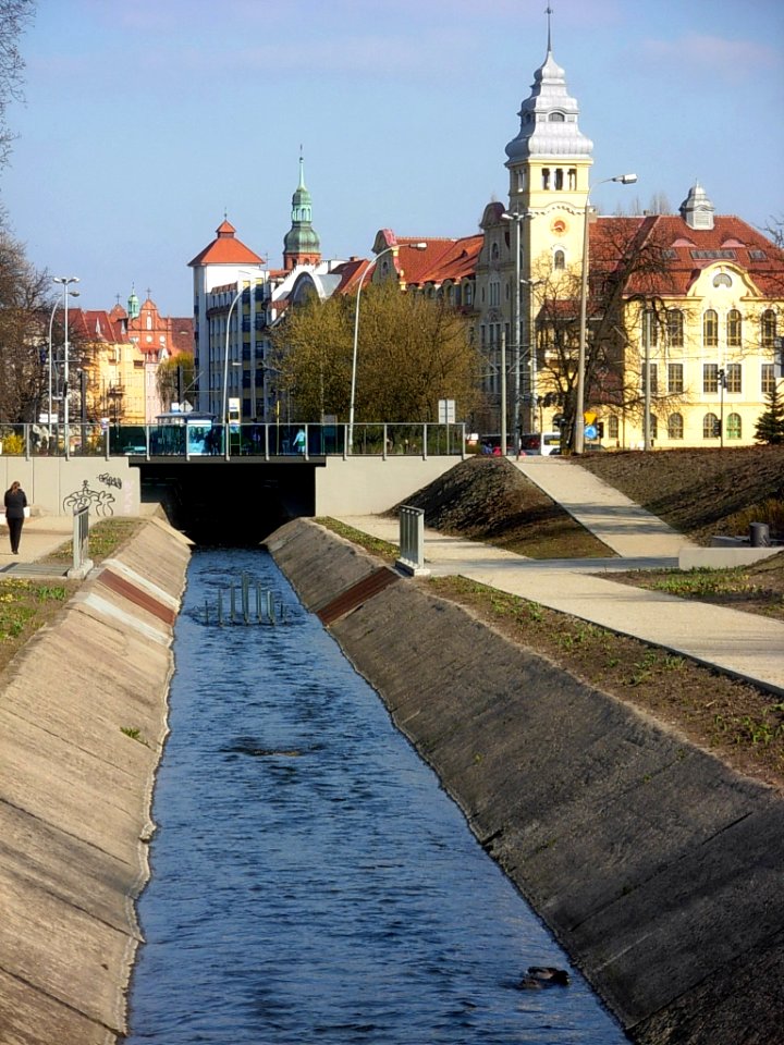 Planty nad KB zrewit 2012c