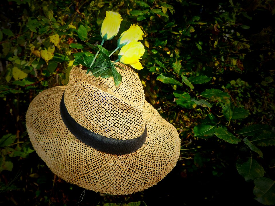 Sun protection headwear roses