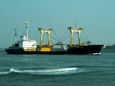 Pioner Koly IMO 8033194 p2
