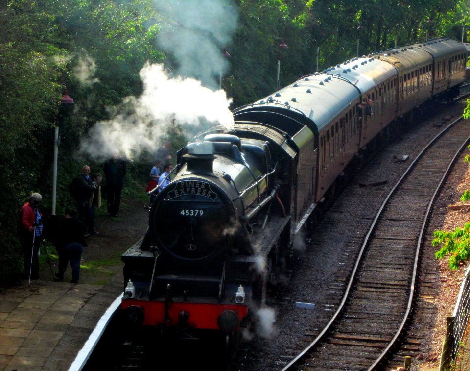 Pines Express 45379
