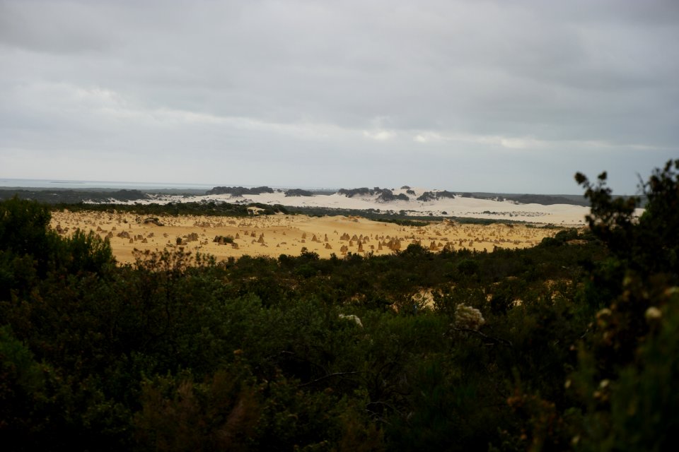 Pinnacles Desert, Nambung National Park, Western Australia 11