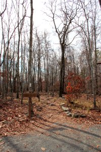 Pine mountain trail