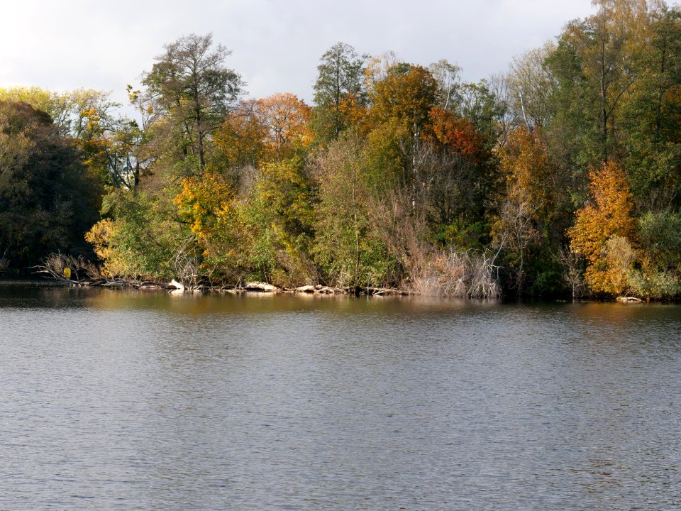 Pionier Insel Eiswerder 2019-10-09 01