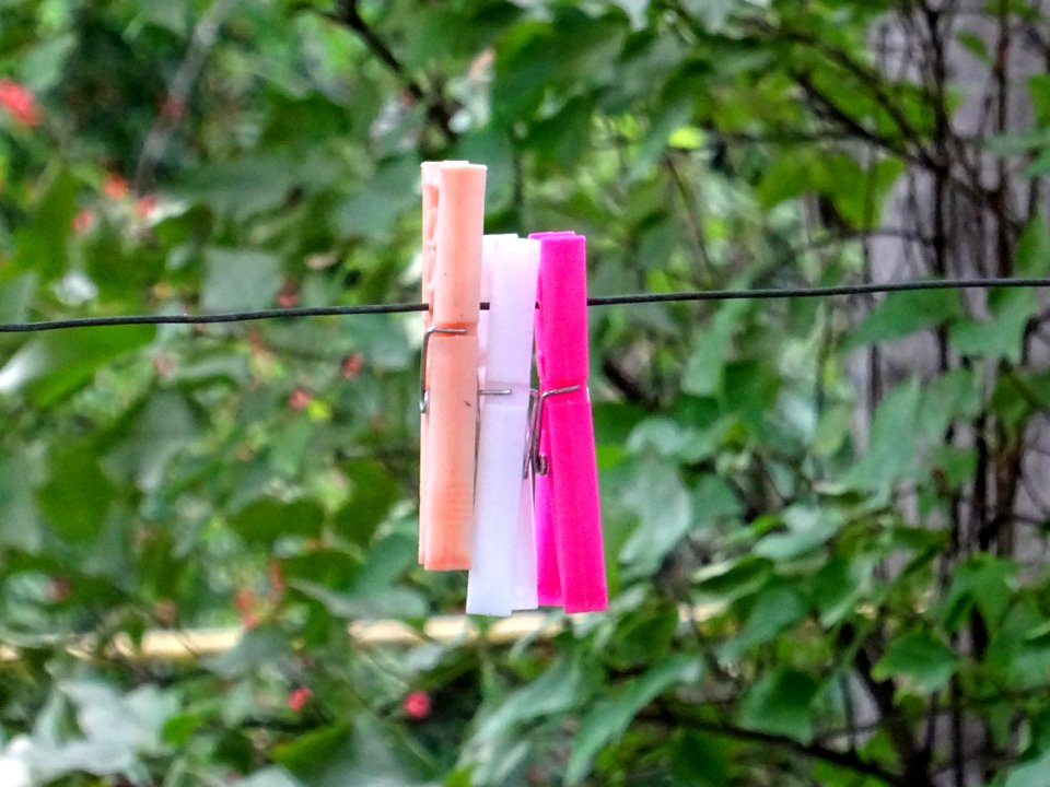 Plastic clothespins
