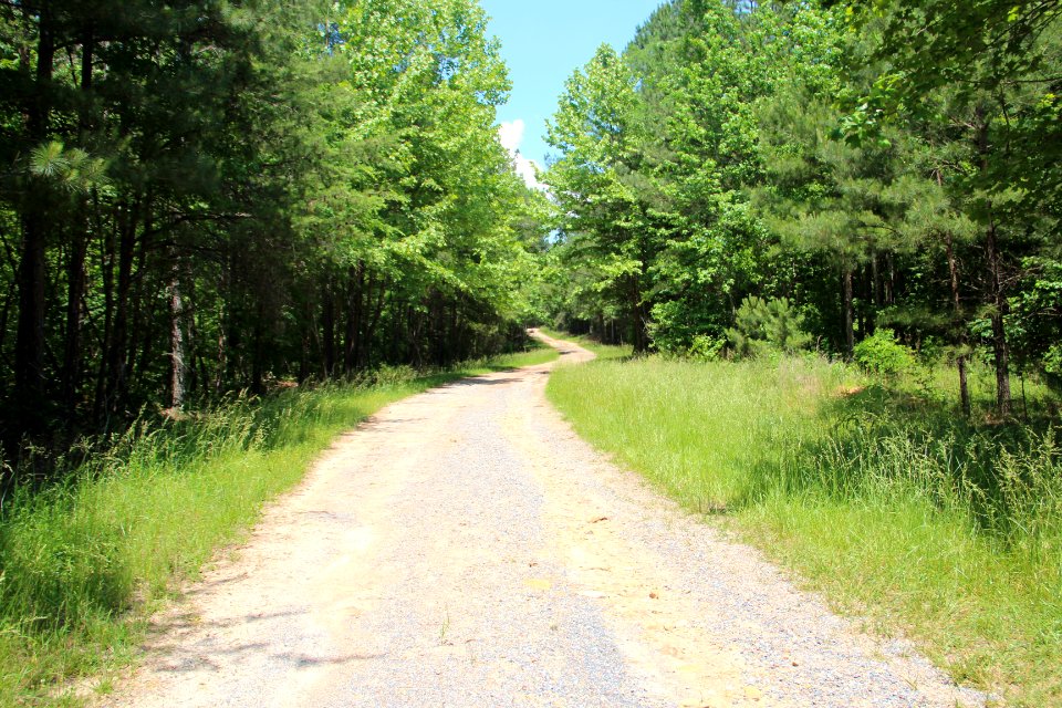 Pine Log Main Road, Bartow County, GA May 2019
